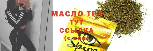 индика Бронницы