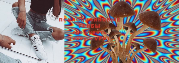 индика Бронницы