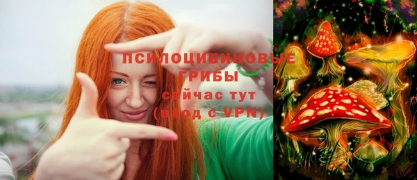 метадон Чекалин