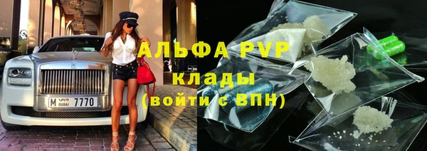индика Бронницы