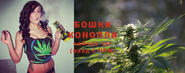 соль ск Бугульма